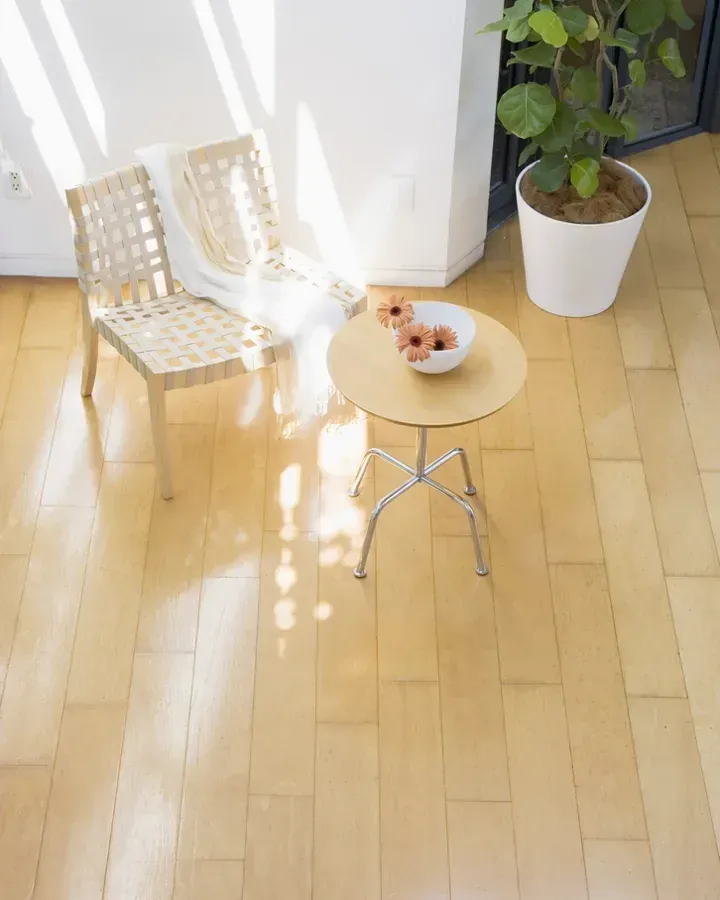 A bright, spotless living room after a professional clean